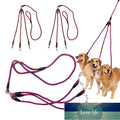 Three Dog Leash No Tangle